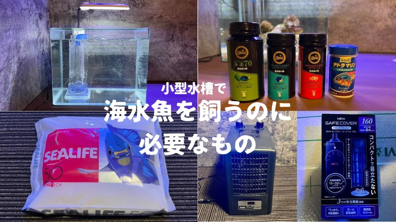 小型水槽で海水魚を飼うのに必要なもの | かずぽんの海水魚らいふ